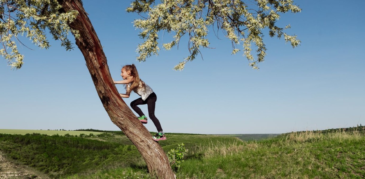 The Resilience Paradox: Letting Privileged Children Learn Through Real Life